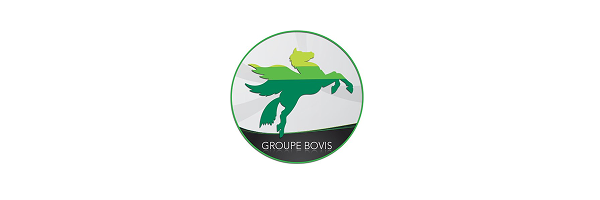 Logo bovis